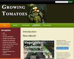 Grow Tomatoes